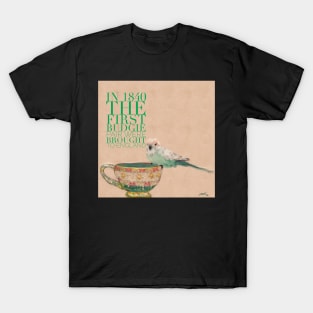 Baby Budgie (parkeet tiny and cute) on teacup animal facts green typography T-Shirt